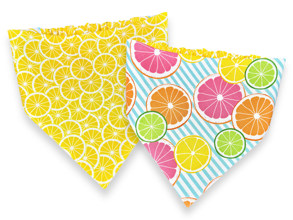 Citrus Fruit Bandana
