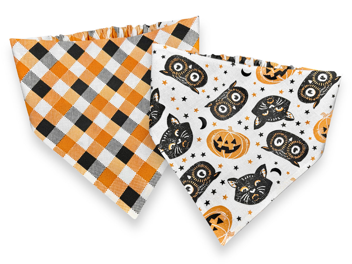 Trick or Treat Bandana